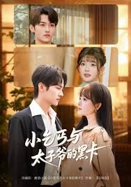 小乞丐与太子爷的黑卡(全集)